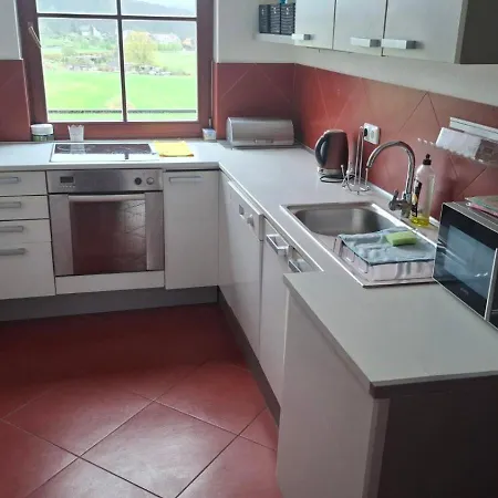 Apartment Karlovice